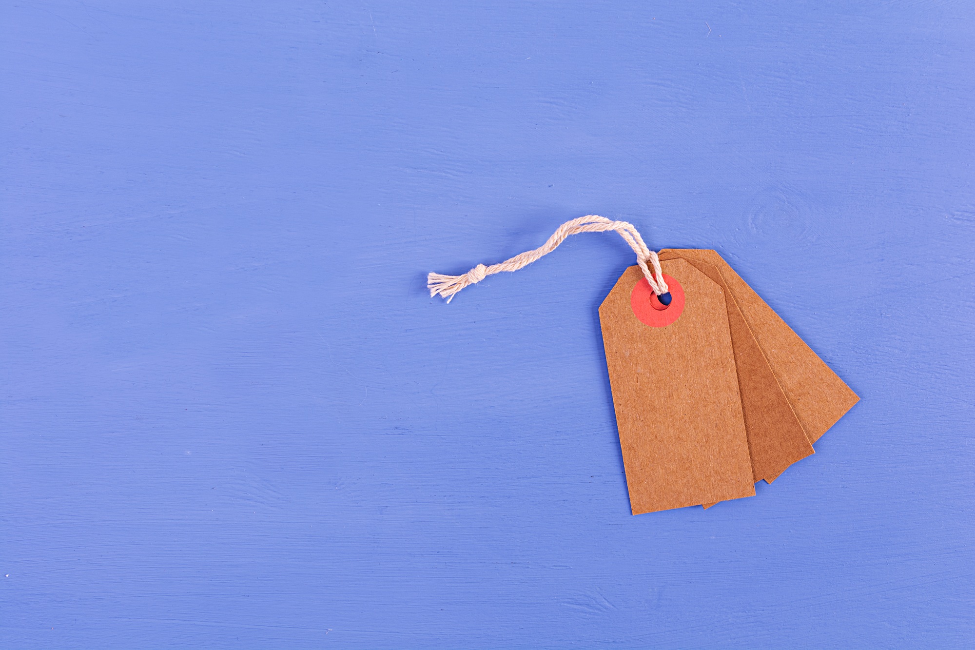 Blank label tag isolated on blue background. Price tag. Sale concept.